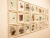ausstellung-november-2011-10