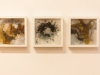 ausstellung-november-2011-14